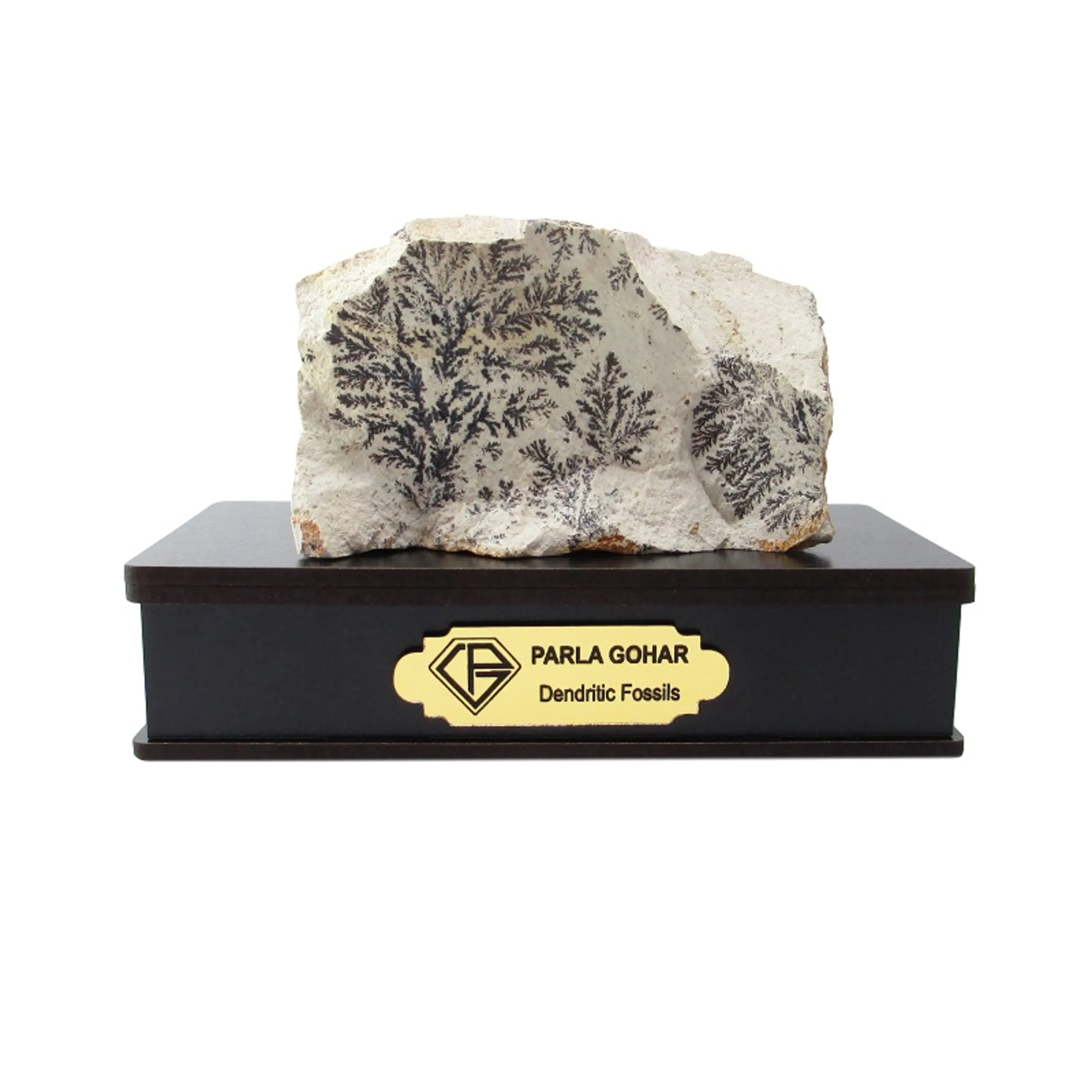 iran-dendritic-fossil-2211